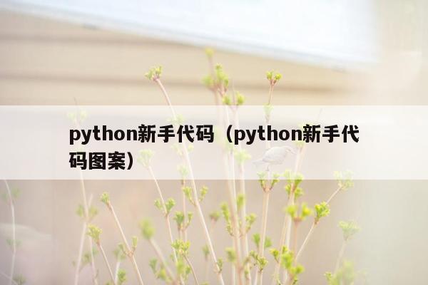 python新手代码(python新手代码图案)