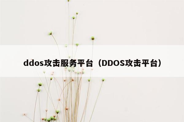 ddos攻击服务平台(DDOS攻击平台)