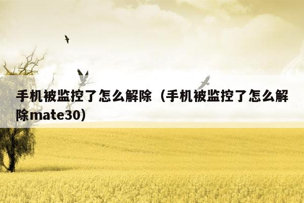 手机被监控了怎么解除(手机被监控了怎么解除mate30)
