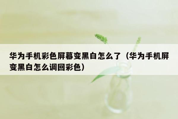 华为手机彩色屏幕变黑白怎么了(华为手机屏变黑白怎么调回彩色)