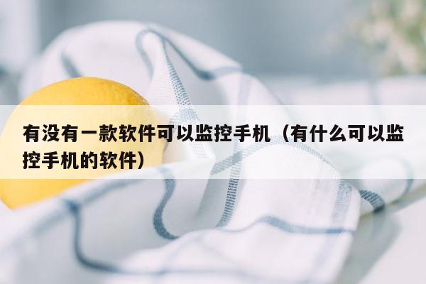 有没有一款软件可以监控手机(有什么可以监控手机的软件)
