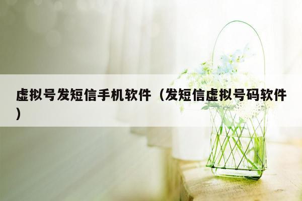 虚拟号发短信手机软件(发短信虚拟号码软件)