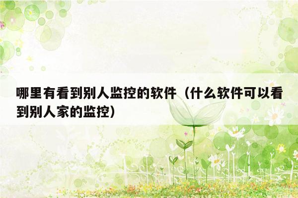 哪里有看到别人监控的软件(什么软件可以看到别人家的监控)