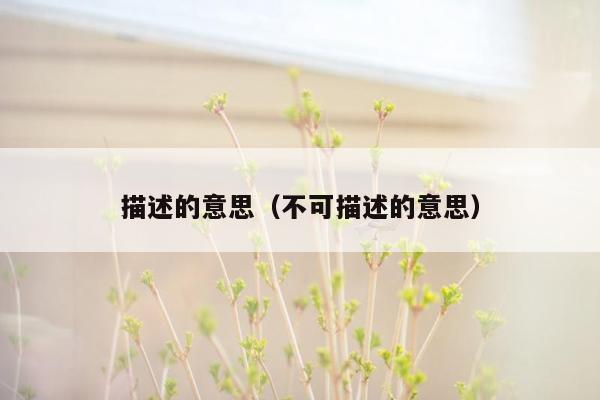 描述的意思(不可描述的意思)