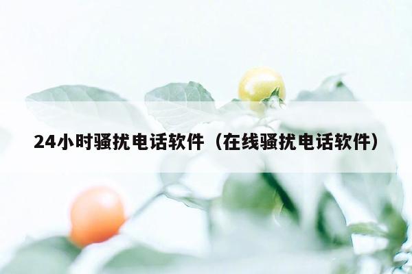 24小时骚扰电话软件(在线骚扰电话软件)
