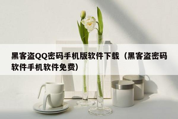 黑客盗QQ密码手机版软件下载(黑客盗密码软件手机软件免费)