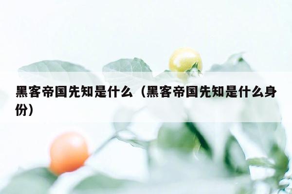 黑客帝国先知是什么(黑客帝国先知是什么身份)