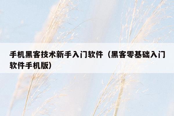 手机黑客技术新手入门软件(黑客零基础入门软件手机版)