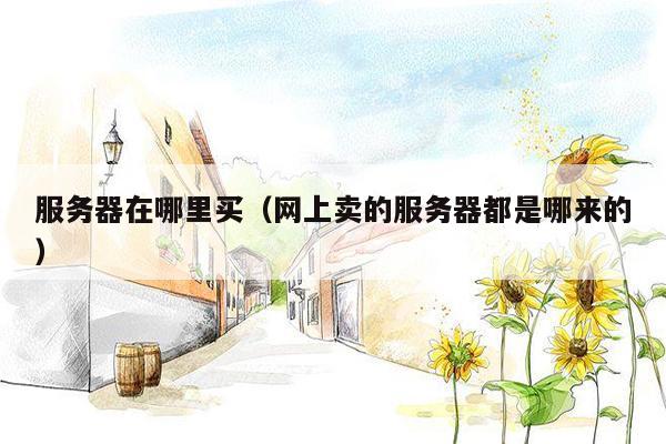 服务器在哪里买(网上卖的服务器都是哪来的)