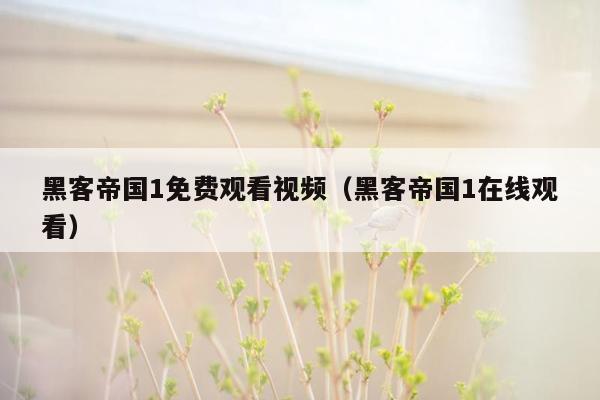 黑客帝国1免费观看视频(黑客帝国1在线观看)