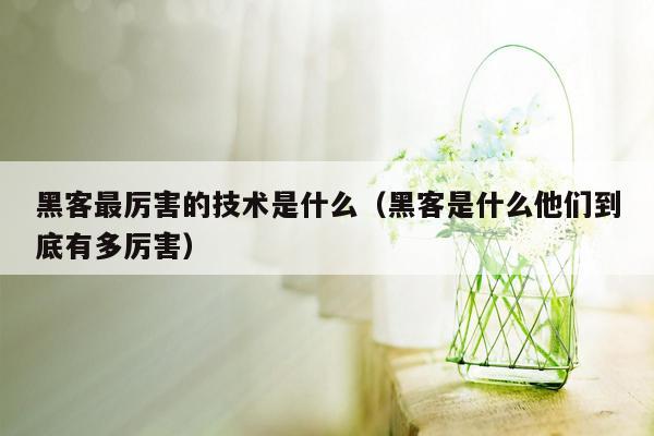 黑客最厉害的技术是什么(黑客是什么他们到底有多厉害)