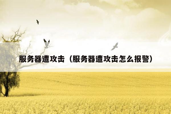 服务器遭攻击(服务器遭攻击怎么报警)