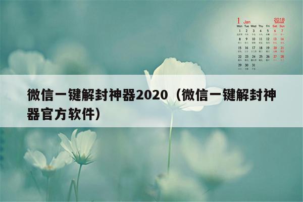 微信一键解封神器2020(微信一键解封神器官方软件)