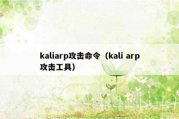 kaliarp攻击命令(kali arp攻击工具)