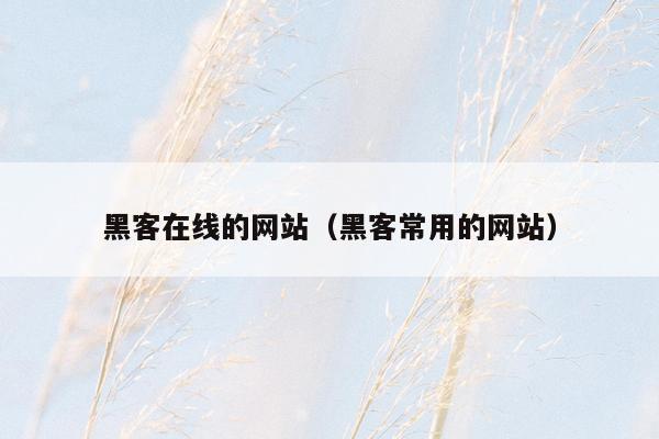 黑客在线的网站(黑客常用的网站)