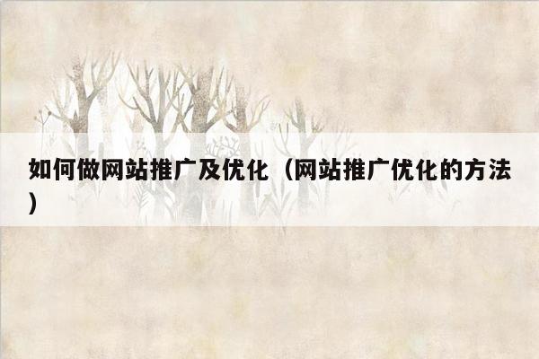 如何做网站推广及优化(网站推广优化的方法)