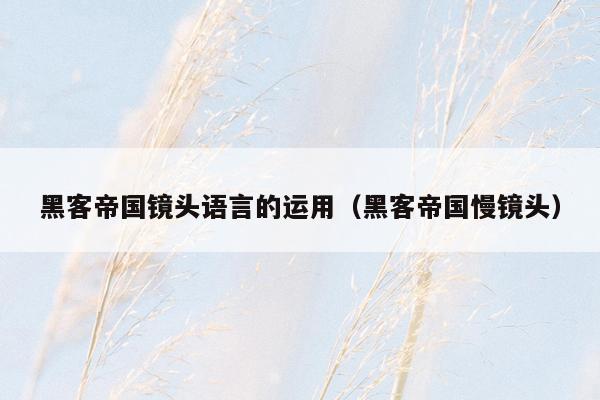 黑客帝国镜头语言的运用(黑客帝国慢镜头)