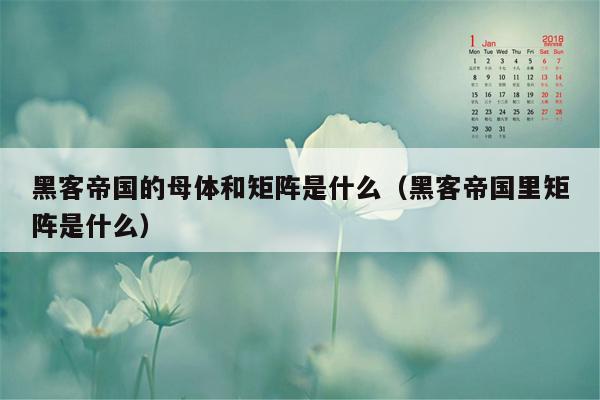 黑客帝国的母体和矩阵是什么(黑客帝国里矩阵是什么)
