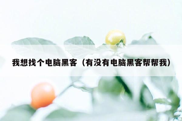 我想找个电脑黑客(有没有电脑黑客帮帮我)