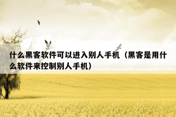 什么黑客软件可以进入别人手机(黑客是用什么软件来控制别人手机)
