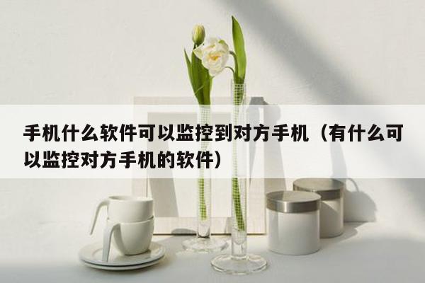 手机什么软件可以监控到对方手机(有什么可以监控对方手机的软件)