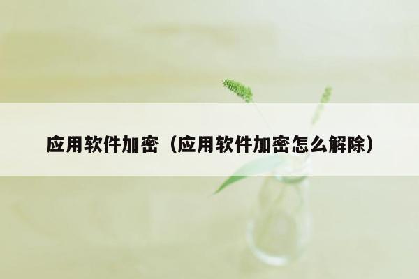应用软件加密(应用软件加密怎么解除)