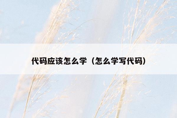 代码应该怎么学(怎么学写代码)