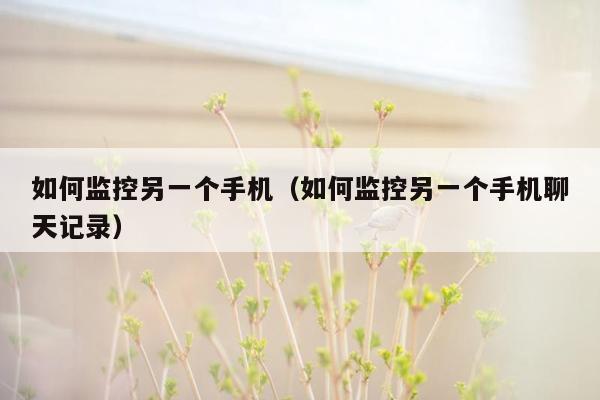 如何监控另一个手机(如何监控另一个手机聊天记录)