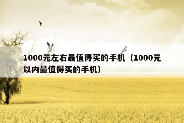 1000元左右最值得买的手机(1000元以内最值得买的手机)