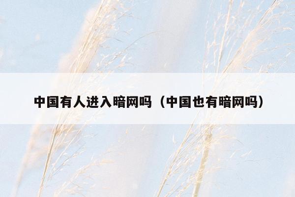 中国有人进入暗网吗(中国也有暗网吗)