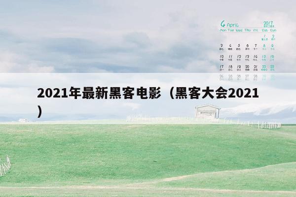 2021年最新黑客电影(黑客大会2021)