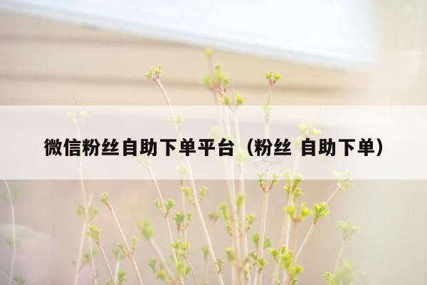 微信粉丝自助下单平台(粉丝 自助下单)