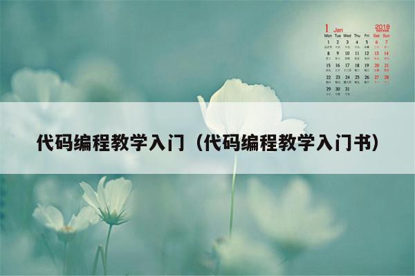 代码编程教学入门(代码编程教学入门书)