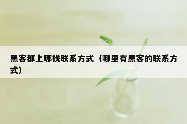 黑客都上哪找联系方式(哪里有黑客的联系方式)