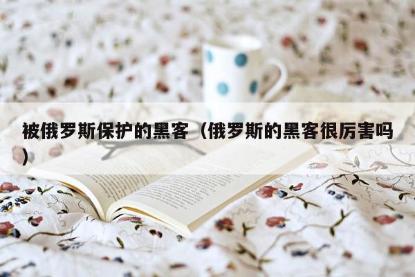 被俄罗斯保护的黑客(俄罗斯的黑客很厉害吗)