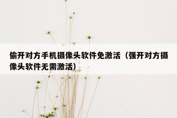 偷开对方手机摄像头软件免激活(强开对方摄像头软件无需激活)