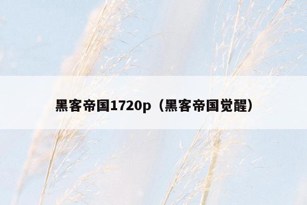 黑客帝国1720p(黑客帝国觉醒)