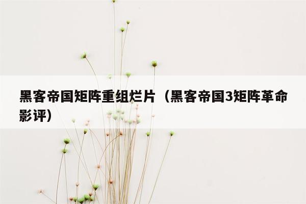 黑客帝国矩阵重组烂片(黑客帝国3矩阵革命影评)