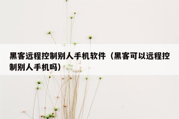 黑客远程控制别人手机软件(黑客可以远程控制别人手机吗)