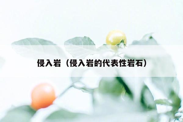侵入岩(侵入岩的代表性岩石)