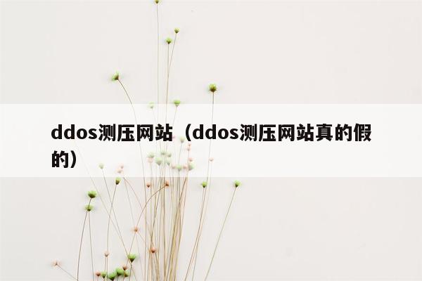 ddos测压网站(ddos测压网站真的假的)