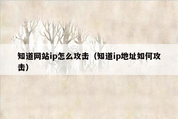 知道网站ip怎么攻击(知道ip地址如何攻击)