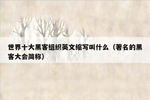 世界十大黑客组织英文缩写叫什么(著名的黑客大会简称)