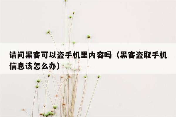 请问黑客可以盗手机里内容吗(黑客盗取手机信息该怎么办)