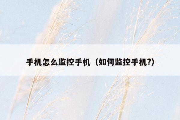 手机怎么监控手机(如何监控手机?)