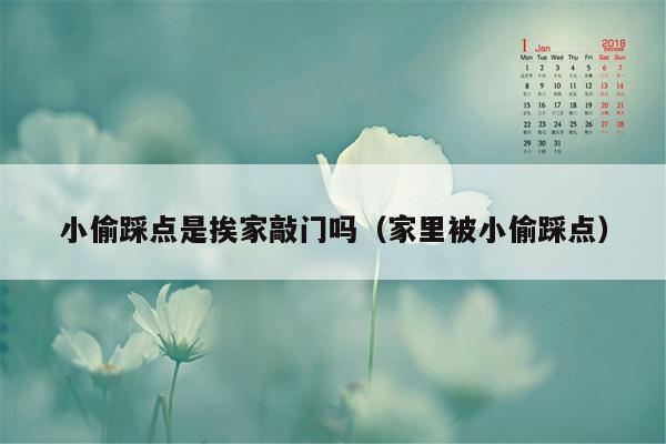 小偷踩点是挨家敲门吗(家里被小偷踩点)