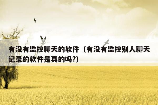 有没有监控聊天的软件(有没有监控别人聊天记录的软件是真的吗?)