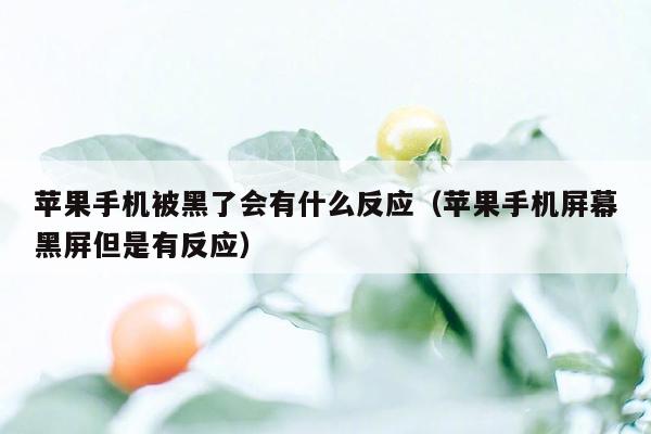 苹果手机被黑了会有什么反应(苹果手机屏幕黑屏但是有反应)