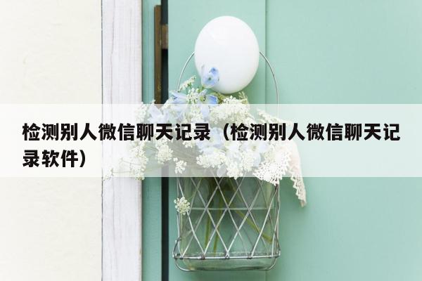 检测别人微信聊天记录(检测别人微信聊天记录软件)