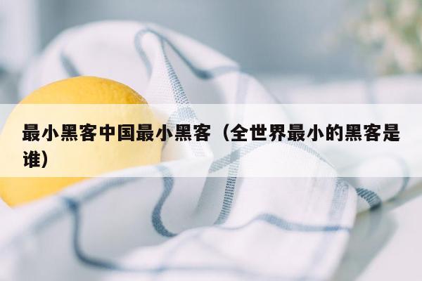 最小黑客中国最小黑客(全世界最小的黑客是谁)